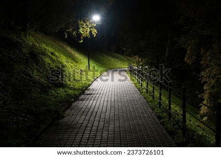 Landscape in a night autumn park. There is a flagstone path, street lamp and trees.