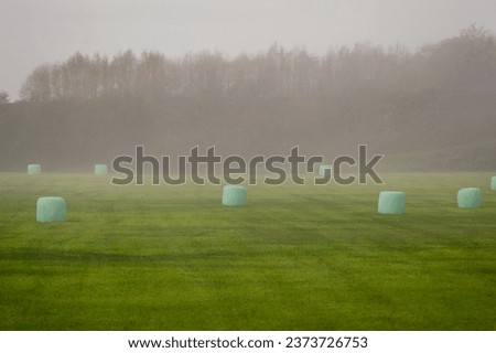 Aerial view of green plastic wrapped hay bales in a field on a foggy morning. Seen in the agricultural hub of western Washington state, the Skagit Valley, the bales dot the landscape in a fun pattern. Royalty-Free Stock Photo #2373726753
