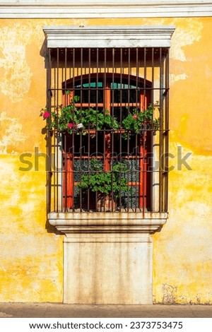 Balcony adorned with geranium flowers in a colonial house in La Antigua Guatemala, sunny afternoon architectural detail world heritage site. Royalty-Free Stock Photo #2373753475