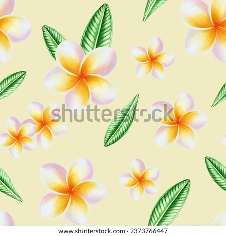 Watercolor seamless pattern with realistic tropical illustration of plumeria flowers with leaves isolated on white background. Beautiful botanical hand painted frangipani clip art. For designers, spa 