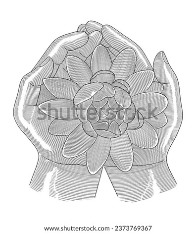  praying hands with lotus flowers on them, Vintage engraving drawing style illustration