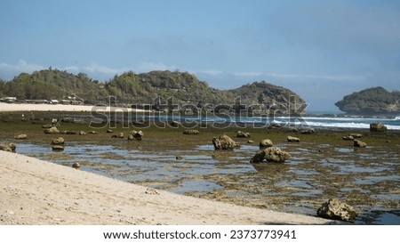 photo of coral rocks and white sand on a clean beach