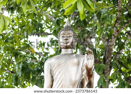 09 October 2023, Nakhon Nayok,Thailand.Beautiful of Buddha standing under trees in the temple of Thailand.concept religion picture.
