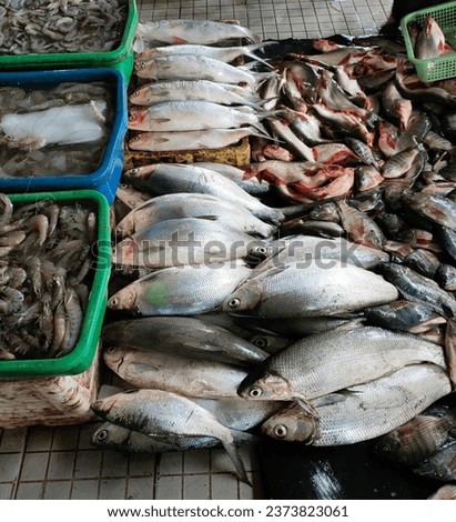 a picture with fishermen's catch being sold fresh at the fish market, there are various types of fish and shrimp