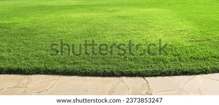 dense lawn grass. The green lawn is short-cropped                      Royalty-Free Stock Photo #2373853247