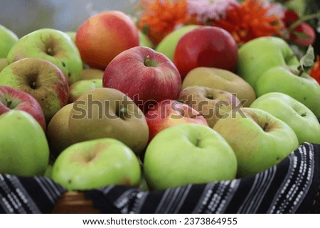 Autumnal concept with a sack full of fresh apples, outdoor shot