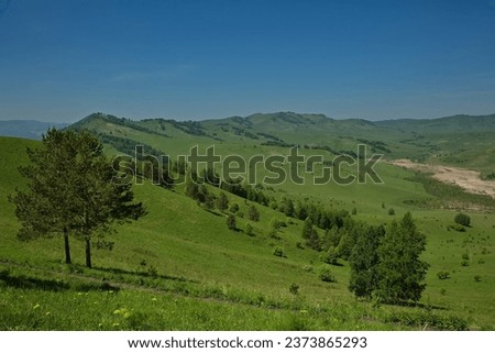 Landscapes of the Altai foothills.