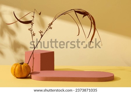 Minimalist creative background for cosmetics or products presentation with autumn concept decoration. Red empty podiums with pumpkin and dry leaves branch displayed on yellow background