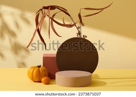 Creative concept of minimalism.Autumn theme with dry leave branch, pumpkin and cherry tomato decorated with empty podiums on yellow background with natural shadow leaves. Front view, advertising photo
