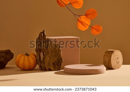 Photography with autumn concept. On brown background, empty podiums decorated with pumpkin, dry twigs and leaves. Space for cosmetic product mockup. Concept for advertising
