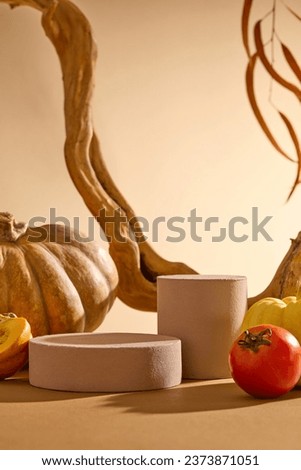 Autumn cozy background with empty podiums for display product. Front view of fruit, pumpkin, tomato and dry twig surrounded two brown cylinder podiums on brown background. Space for design