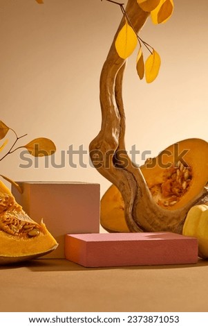 Background for the presentation of cosmetic products with autumn concept. Two empty podiums decorated with slices of pumpkin, dry twig and yellow leaves on brown background