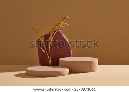 Minimal art background with blank space for cosmetic product presentation. Front view of brown cylinder podiums decorated with red block of stone and dry rice branches heavy with grain
