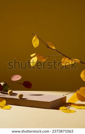Product display scene with empty brown podium and dry leaves in a rustic autumn themed background. Front view. Concept for advertising, presentation product