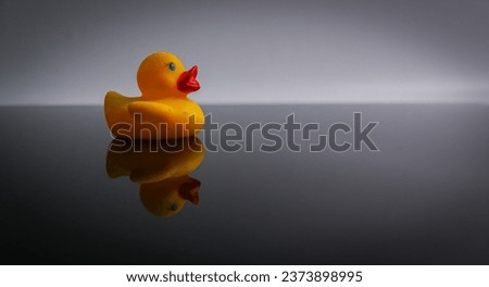 A reflection of a duck toy.