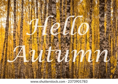 The words Hello Autumn on the background of birch forest with golden leaved. Greeting card. The concept of the beginning of autumn season.
