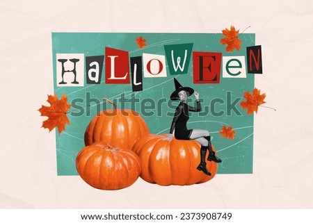 Collage artwork picture of smiling witch sitting gourds preparing halloween party isolated graphical background
