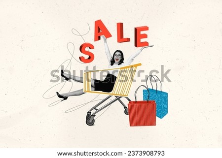 Photo collage artwork minimal picture of excited funky lady riding shopping cart isolated graphical background