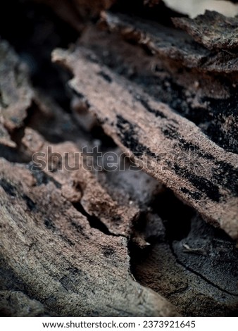 A close up of exotic brown wood, with a Streaks of lighter and darker colors give this wood a unique and amazing texture