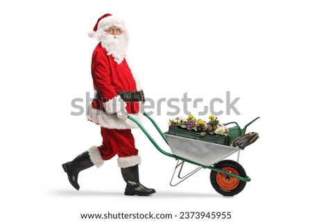 Full length profile shot of a santa claus pushing a wheelbarrow with flower pots isolated on white background