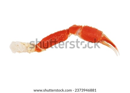 Cooked Peruvian Southern King crab leg isolated on a white background. Crab claws isolated on white background Royalty-Free Stock Photo #2373946881