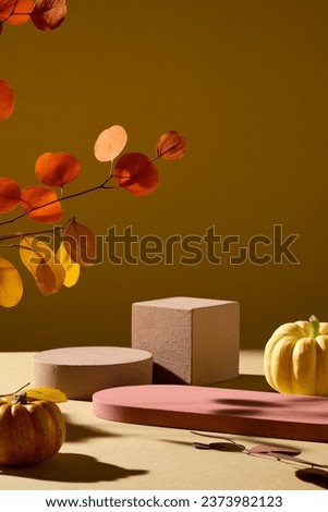 Blank minimalist empty showcase template for advertising product with Autumn concept. Dry leaves with pumpkins and empty geometries podiums decorated on brown background