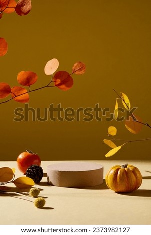 Front view of brown cylinder podium displayed on autumn background with dry leaves branches, pumpkin, tomato and dry pine cone. Blank space for display cosmetic product