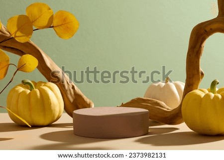 Pedestal for cosmetic product and packaging mockups display presentation decorated on pastel background with dry twigs and leaves. Yellow pumpkins and yellow dry leaves remind of warm autumn