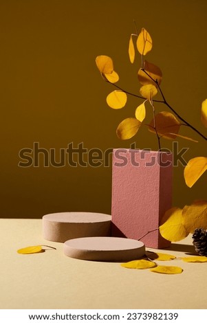 Front view of brown cylinder podiums and red rectangular podium decorated with yellow autumn leaves branch on brown background. Blank space for product presentation. Autumn concept