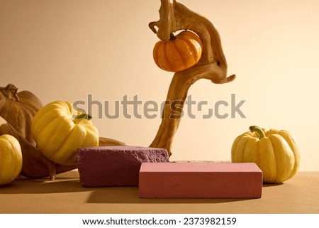 Blank minimalist empty showcase template with Autumn concept. Against the backlit background, two brick podiums decorated with pumpkins and dry twig. Advertising photo