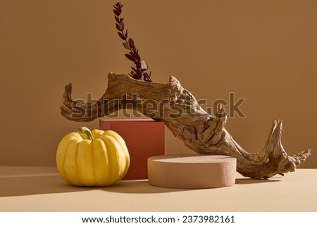 Blank minimal design concept with yellow pumpkin, dry twig and branch leave decorated on brown background with empty podiums. Scene for advertising product with space for presentation