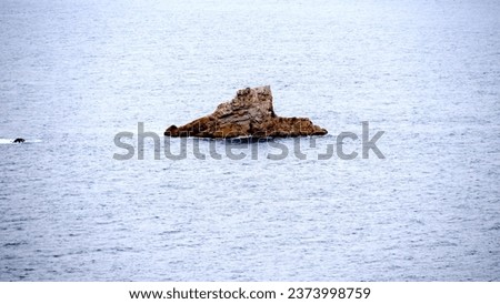 rock in the middle of the sea beaten by waves
