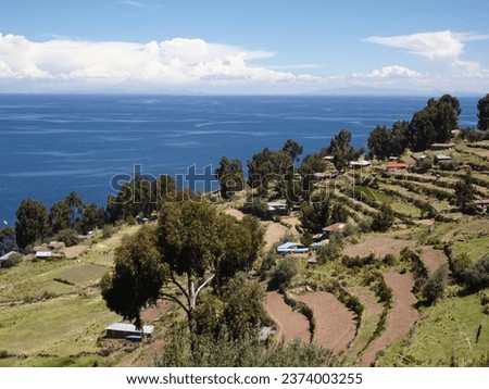 [Peru] View of terraced fields at Taquile Island and Lake Titicaca (Puno)