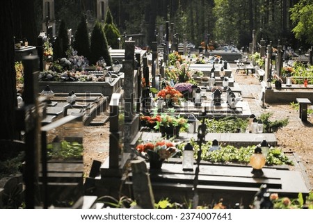 Catholic cemetery background. All saints holiday. Grave candle light. Cotton flowers. Funeral bouquets Grave candles on marble tomb. Gray granite grave. Sunlight graveyard landscape.