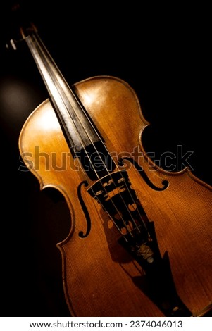 Violin. Low-key picture of an old-fashioned musical instrument.