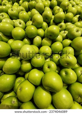 "FRESH GREEN APPLES". The picture shows a pile of fresh green apples, very nutritious for health.