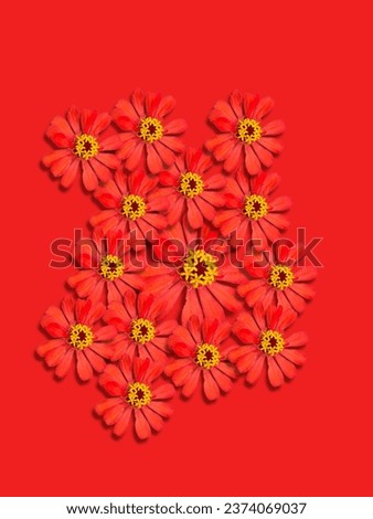 Bright colored flowers and beautiful background