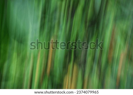 unique blurry background of green leaves.abstract.