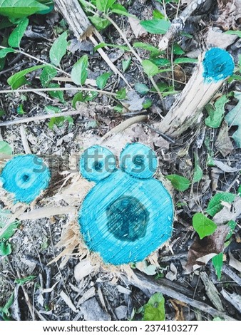 Herbacide stump treatment of an invasive plant Royalty-Free Stock Photo #2374103277