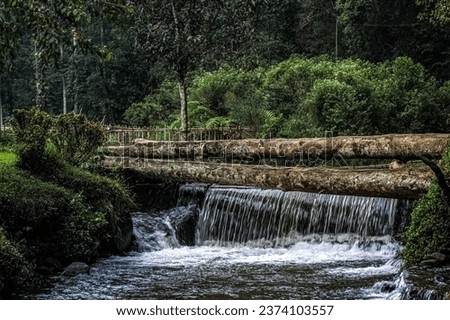 River with a waterfall with large tree trunks hanging down