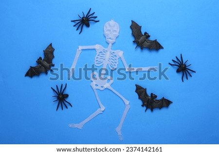 Halloween background. Skeleton with bats and spiders on blue background. Top view