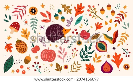 Vector collection with autumn symbols and elements. Autumn leaves, mushrooms and pumpkins