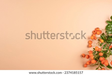 Autumn composition. Bush branch with orange berries and green leaves on a beige background with copy space. View from above. Flat layout. Bottom right.