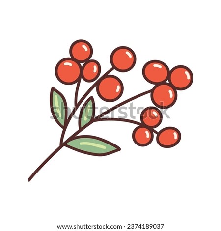 Sprig of red rowan. Autumn or winter plant. Icon on white background. Colorful vector isolated hand drawn doodle with contour. Botanical design element clip art