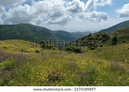 Hilly and mountainous landscape in beautiful Corsica