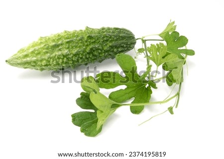 Bitter melon or bitter gourd with leaves isolated on white background. Royalty-Free Stock Photo #2374195819