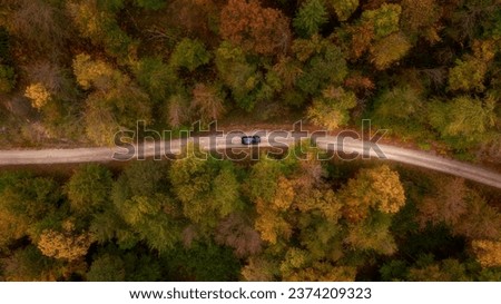 Car riving through autumn forest, drone, Kočevje, Slovenia