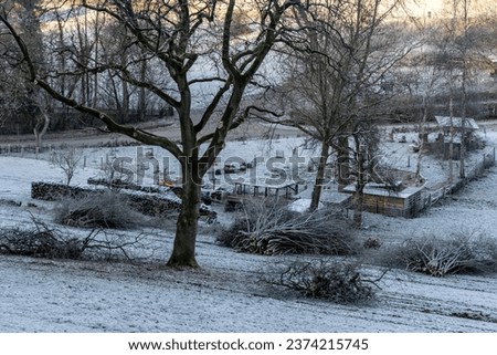 Harvesting firewood for heating in winter, mountain winter landscape, a pile of sawn logs and branches