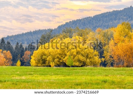 Autumn scene in northwest Montana of colorful foliage, mountain, and clouds