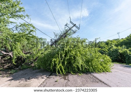 Downed Power Pole After Hurricane Passes Through Royalty-Free Stock Photo #2374223305